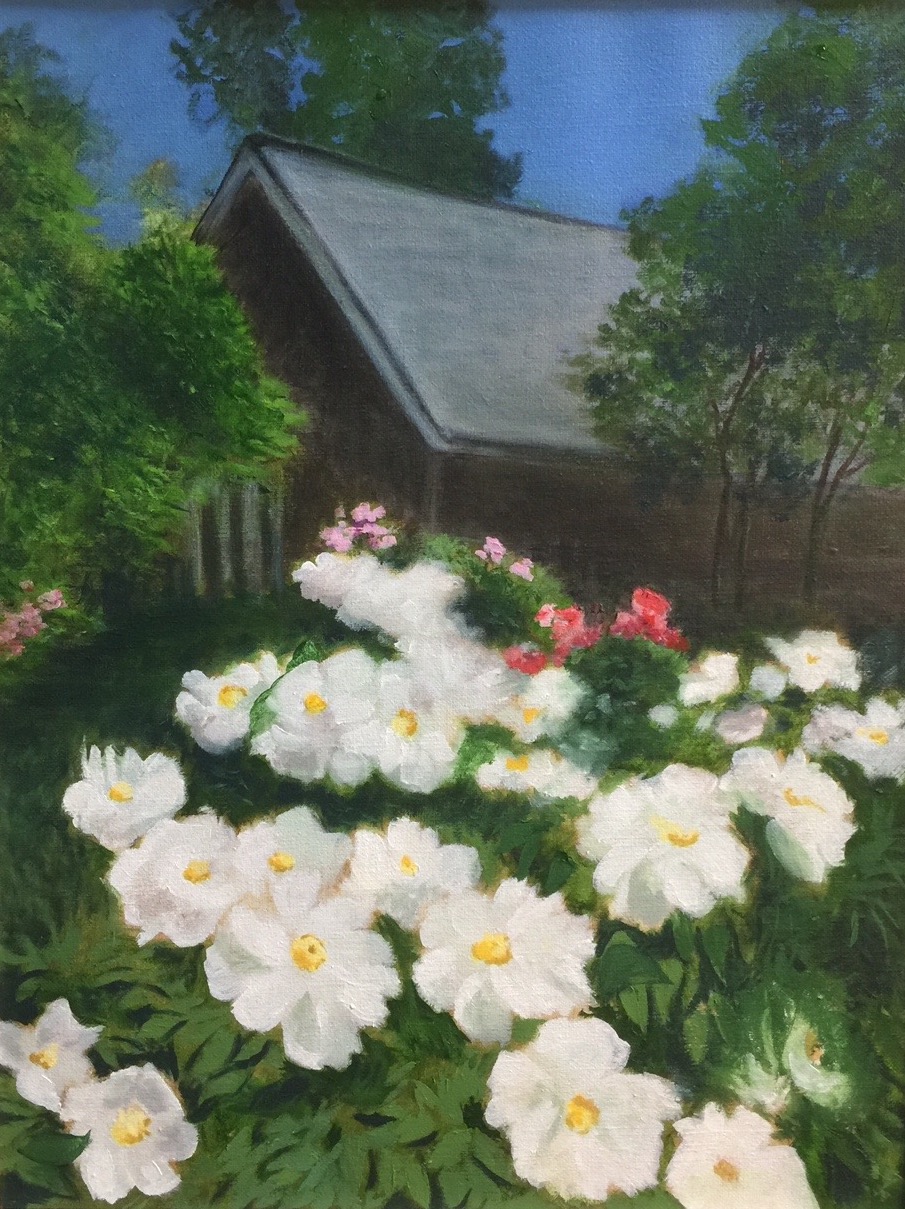 Rockefeller Peonies