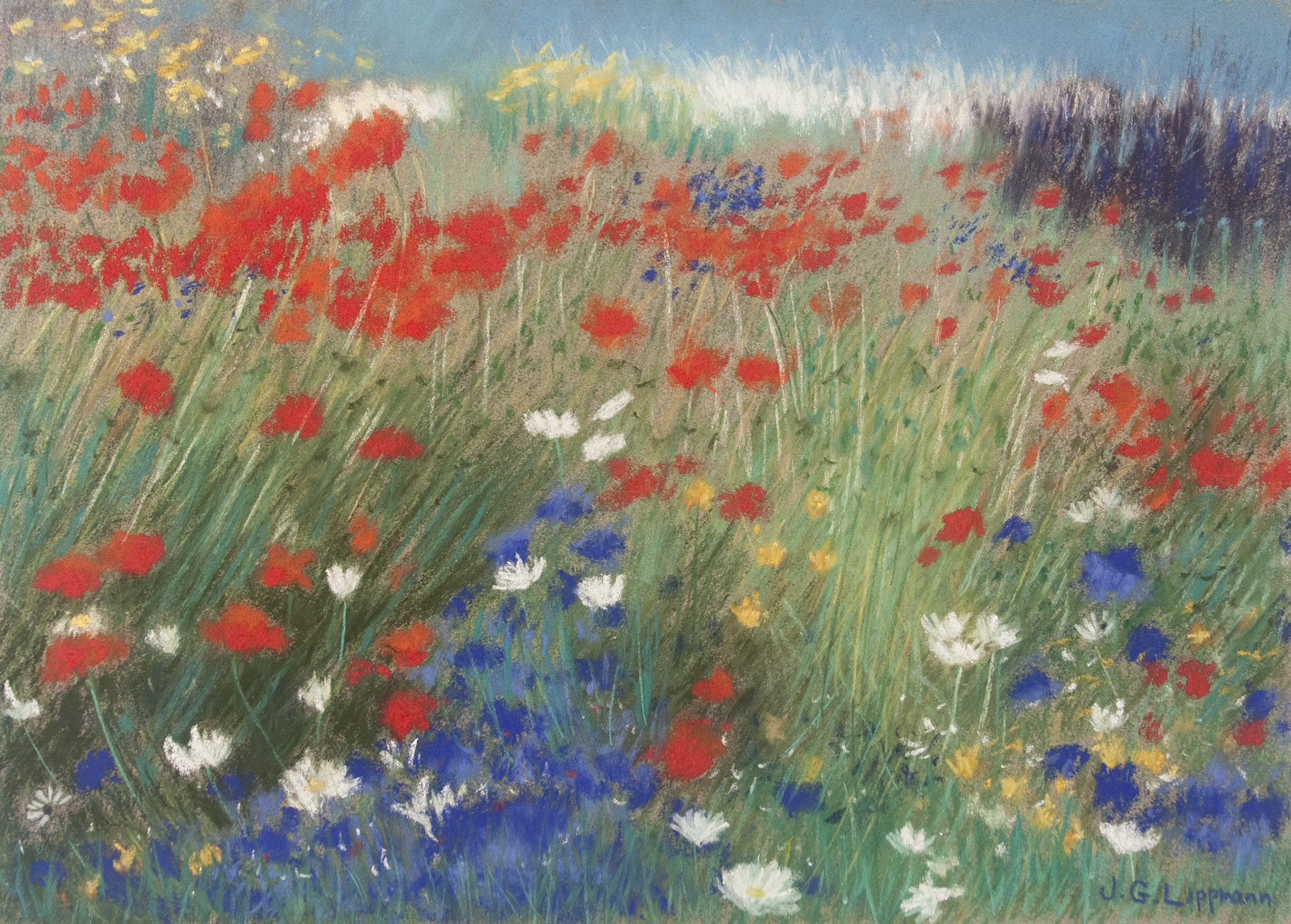 Baudy Hotel Garden, Giverny